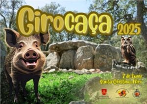 Girocaça 25