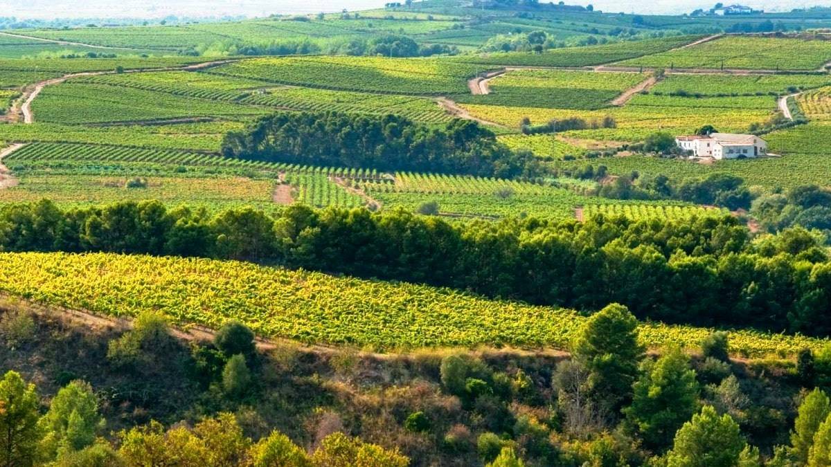Foto Alt Penedès