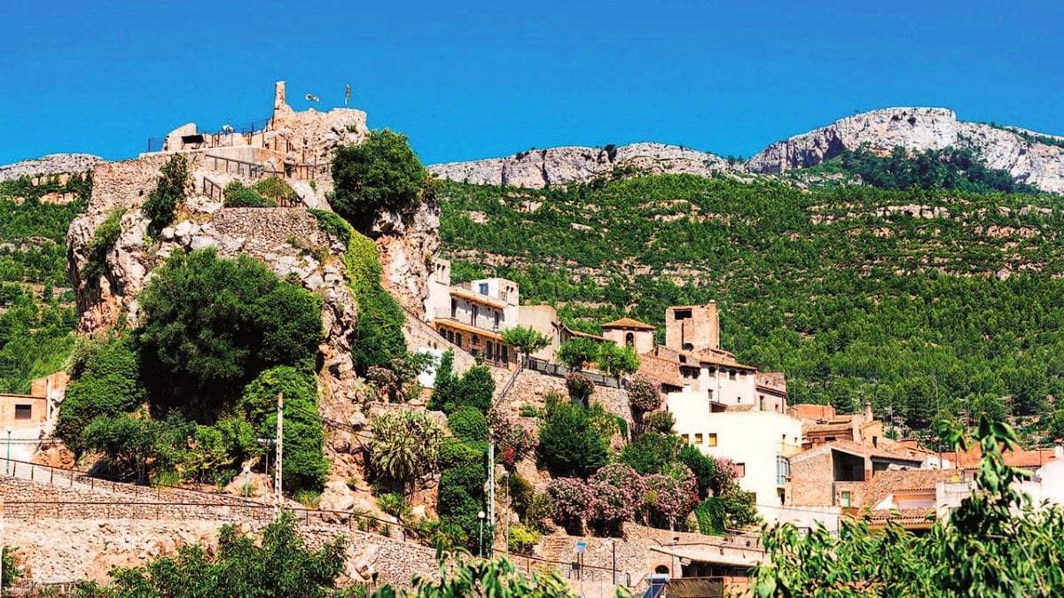 Foto Baix Camp