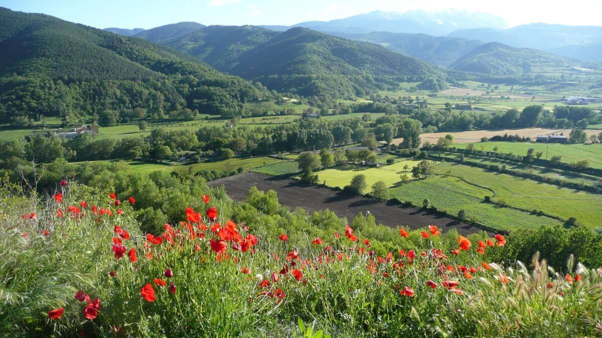 Foto Alt Urgell