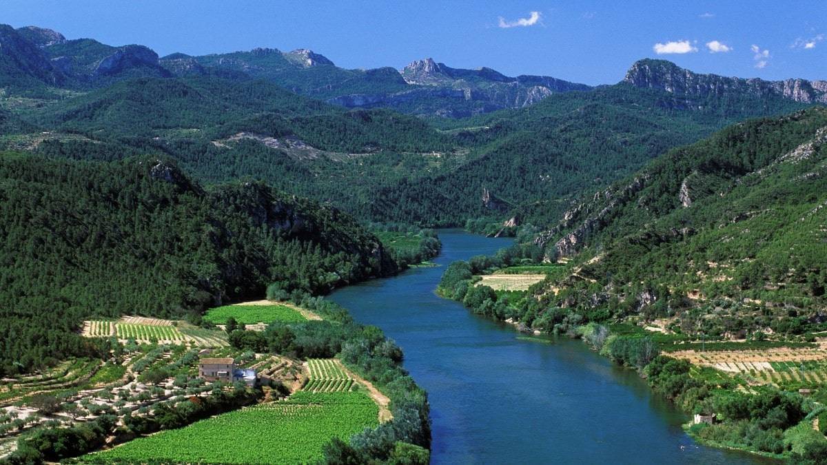 Foto Ribera d'Ebre