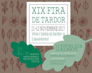 Fira llavaneres novembre 17