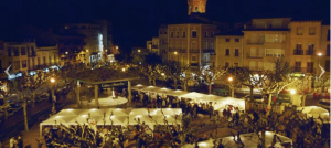 Fira del codony a tremp foto 2