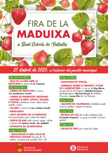 Cartell fira maduixa