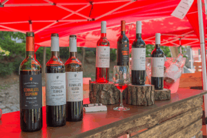 D vins mostra de vins i caves de proximitat 1 min