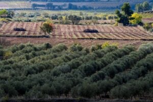 Dsc 8705dop b.conca 