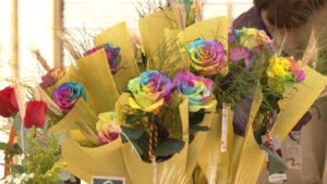 Diada de sant jordi a la roca del valles foto 1