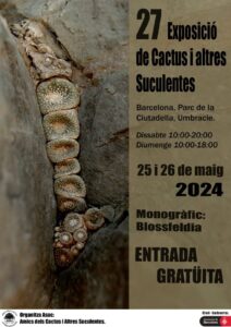 Exposició de cactus i suculentes a barcelona cartell 2024 min