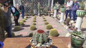 Exposició de cactus i suculentes a barcelona foto 4 min