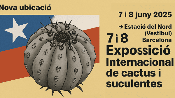 Exposicio de cactus i suculentes portada24