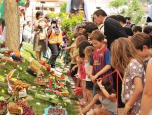 Exposicio de cireres a sant climent de llobregat foto 2
