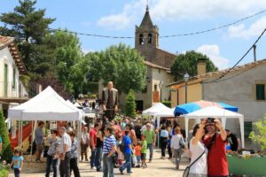 Fira dherbes remeieres de vilanova de sau foto 2