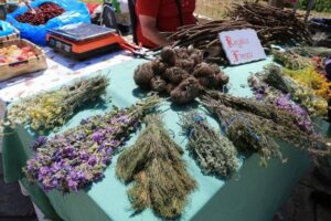 Fira dherbes remeieres de vilanova de sau foto 3