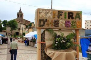Fira dherbes remeieres de vilanova de sau foto 4