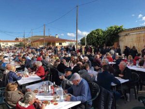 Festa vi jove i oli novell a sant jaume dels domenys foto 1