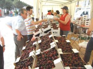 Festa de la cirera de santa coloma de cervello 1
