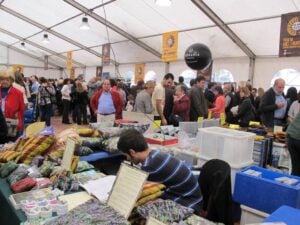 Festa de la ratafia a santa coloma de farners foto 2