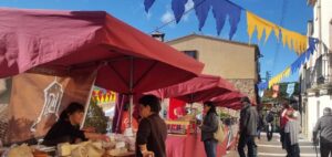 Festa de la cassola de vinya foto 2 min
