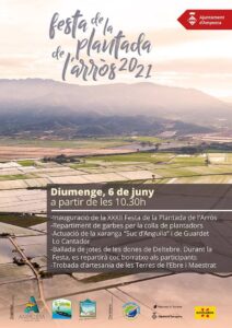Festa de la plantada de larros a amposta cartell 2021