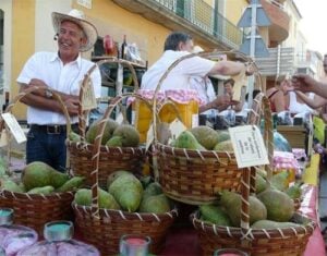 Festa del pou bo torregrossa foto 4 min