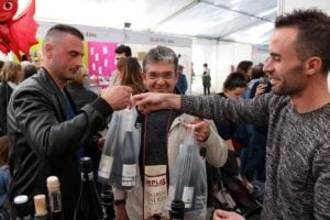 Festa del vi a gandesa 2