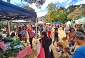 Fira agricola de collserola a vallvidrera 2 1