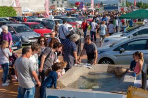 Fira ascensió granollers 5