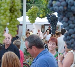 Fira do conca de barbera – festa de la verema a lespluga de francoli 2