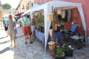 Fira herbes vilanova de sau fires catalanes 13