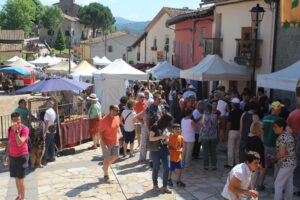 Fira herbes vilanova de sau fires catalanes 5