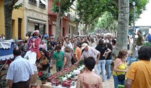 Fira kilometre adm a arenys de munt foto 1