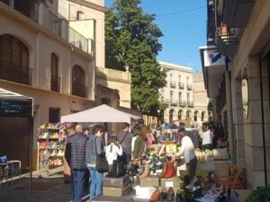 Fira mercat al carrer de la bisbal dempordà foto 1