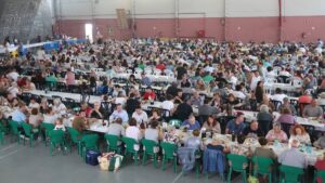 Fira pallars terra de corder 3 1
