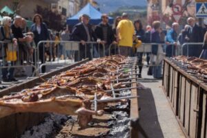 Fira pallars terra de corder foto 6