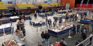 Fira playmobil i lego a guissona foto 2
