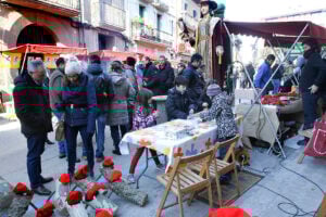 Fira pont a pont a roda de ter foto 2