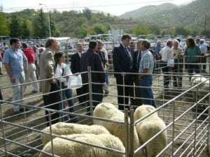 Fira ramadera de la pobleta de bellvei 2