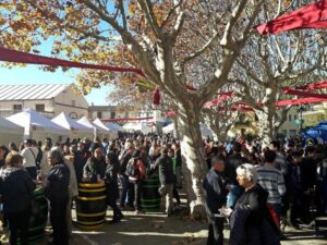 Fira subirats tastal a sant pau dordal foto 1