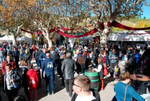 Fira subirats tastal a sant pau dordal foto 2