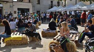 Fira tocats dels bolets a montmajor foto 2