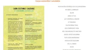 Fira virtual de la purissima a sant boi foto 4