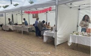 Fira visana a sant antoni de vilamajor 1