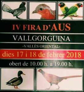 Fira d aus de vallgorguina 2018