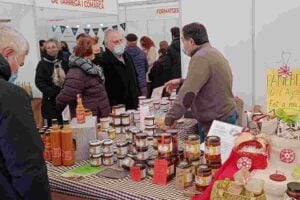 Fira dartistes i activitats tradicionals a tarrega foto 5