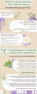Fira dherbes i cuina del bosc a setcases 1