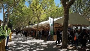Fira de maig a berga foto 4