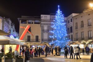 Fira de nadal a igualada foto 1