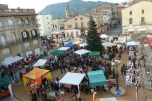Fira de nadal a sant feliu de codines foto 2