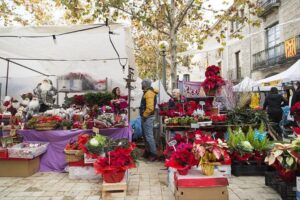 Fira de nadal i mostra doficis artesans a banyoles foto 1 min