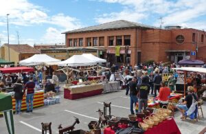 Fira de primavera a sant pere de torello foto 2